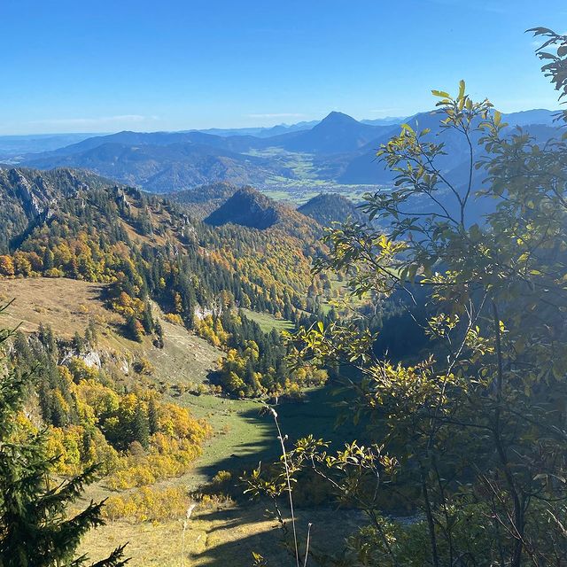 HERRMANN Denise, 🍁🍂🧡