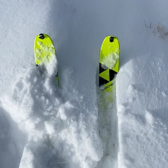 DAHLMEIER Laura, Skitouring
season 😎✅
#bettertobefast
#nofriendsonpowd
erdays #skimo
#skitouring
#garmischmalsosc
hlecht #powder
#latterl
#aufeobeaufeobe
@adidasterrex