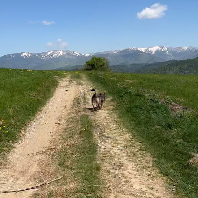 FIALKOVA Paulina,