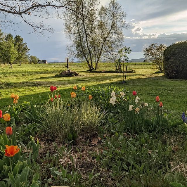 DUNKLEE Susan, May Mood on
Craftsbury
Common